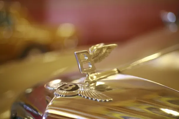 Casino Bet Winner Android/iOS App